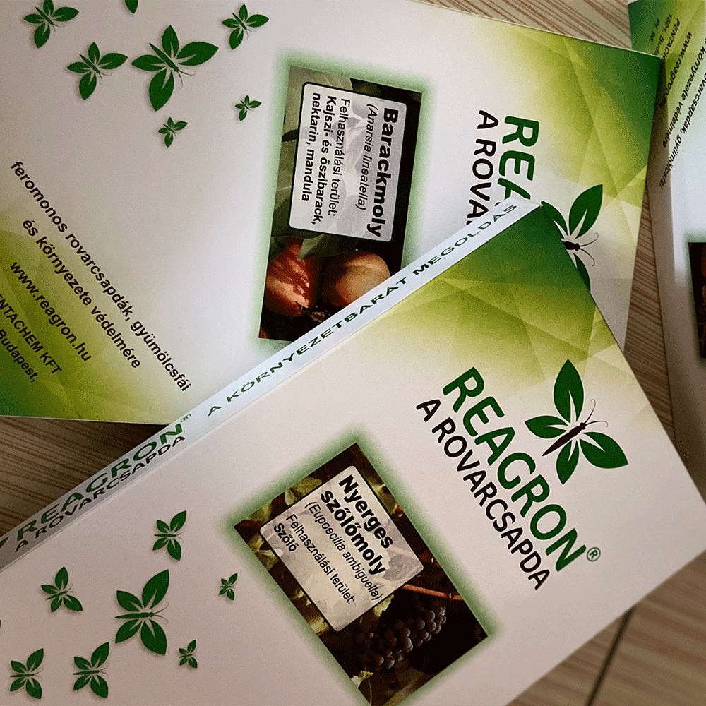 Teljes szezonos csapdák